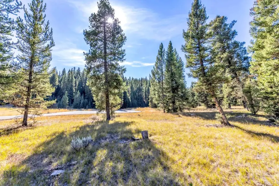 Lot 9 Stream Side Way, Big Sky, MT 59716 - #3