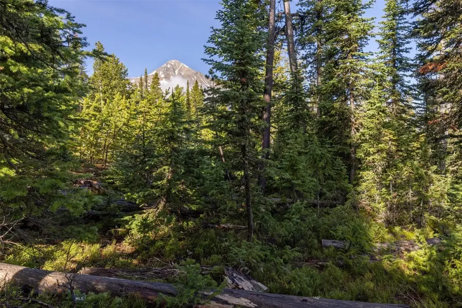TBD White Butte Road, Big Sky, MT 59716 - #3