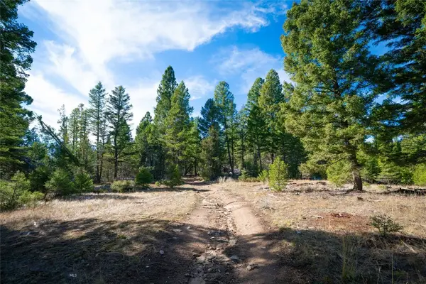 TBD Delmoe Lake Road, Whitehall, MT 59759
