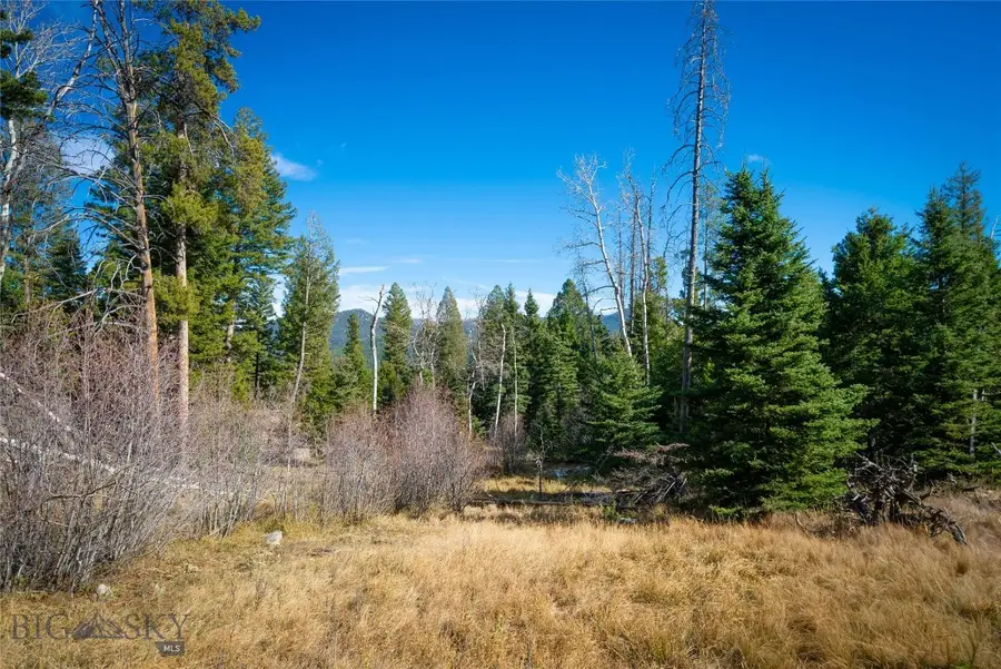 TBD Delmoe Lake Road, Whitehall, MT 59759 - #2