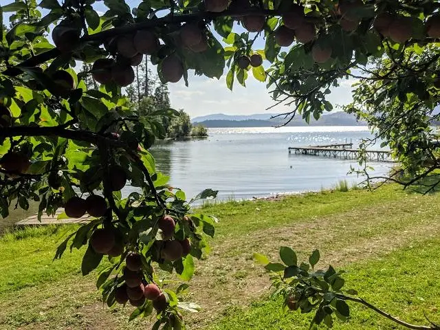 41322 Mello Cove Lane, Dayton, MT 59914 - Image #1