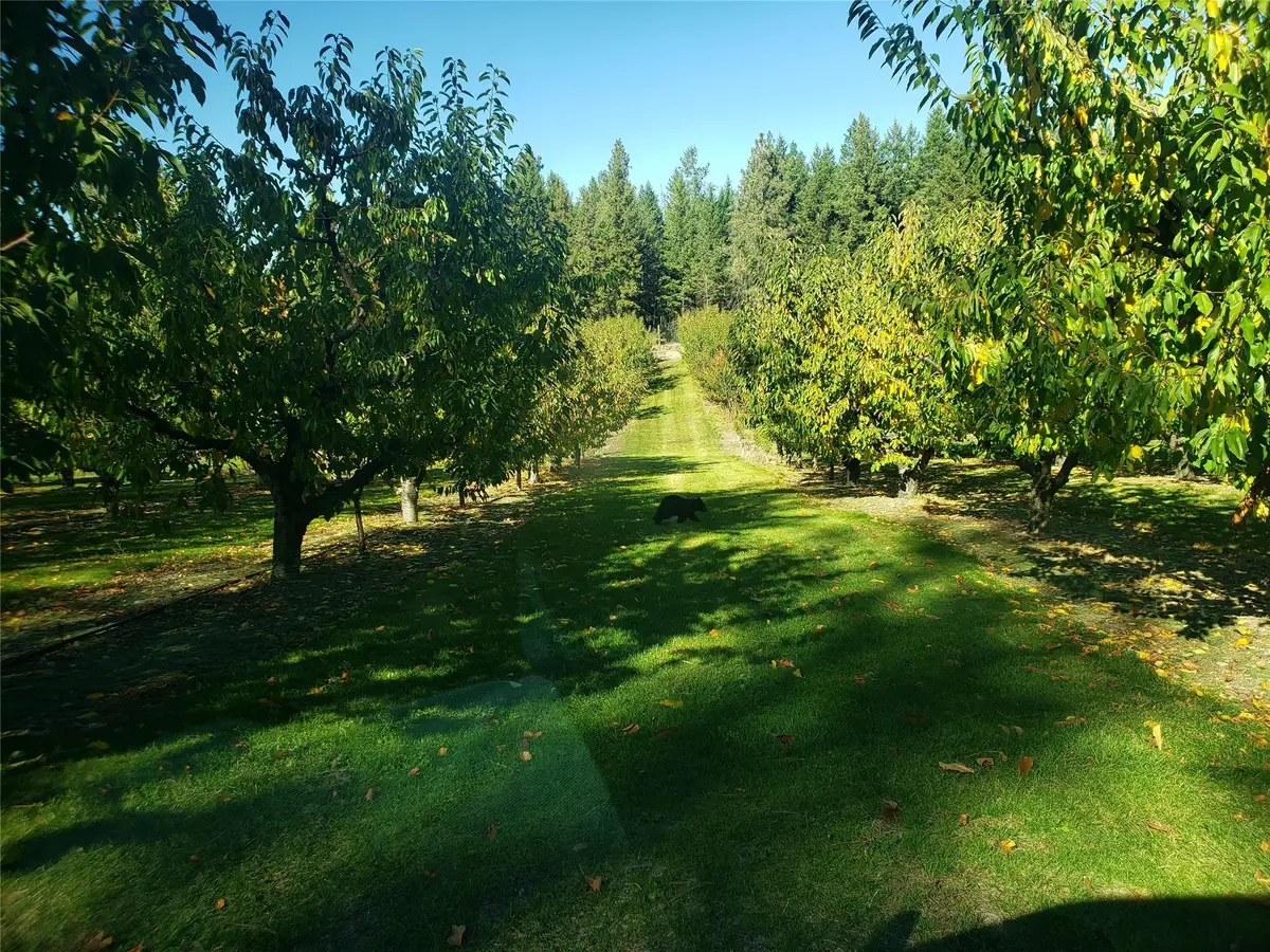 32624 S Finley Point Road, Polson, MT 59860 - Image #1