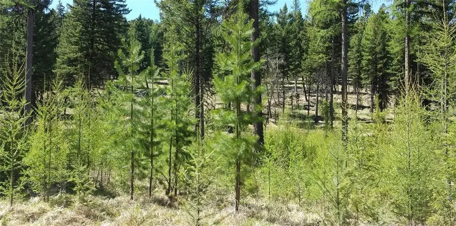 270 Tomahawk Trail, Fortine, MT 59918 - #2