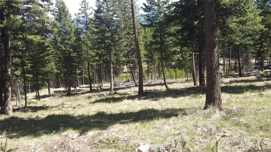 270 Tomahawk Trail, Fortine, MT 59918 - #3