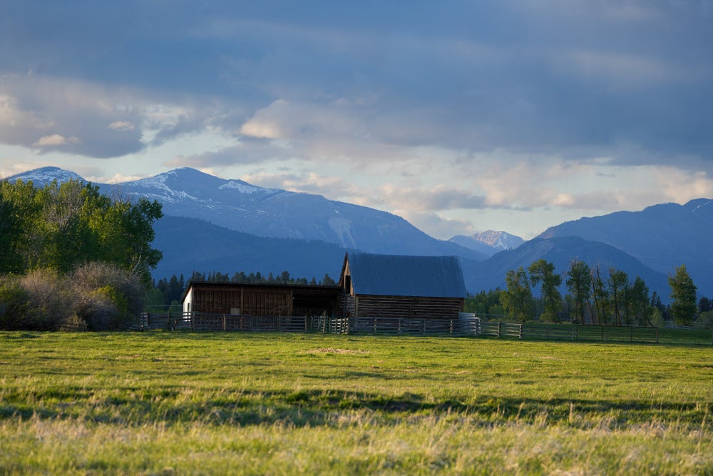 254 Happy Lane, Helmville, MT 59843 - ERA