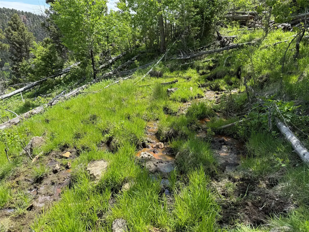 TBD (31.2 +/- Ac) High Ore Road, Boulder, MT 59632 - #1