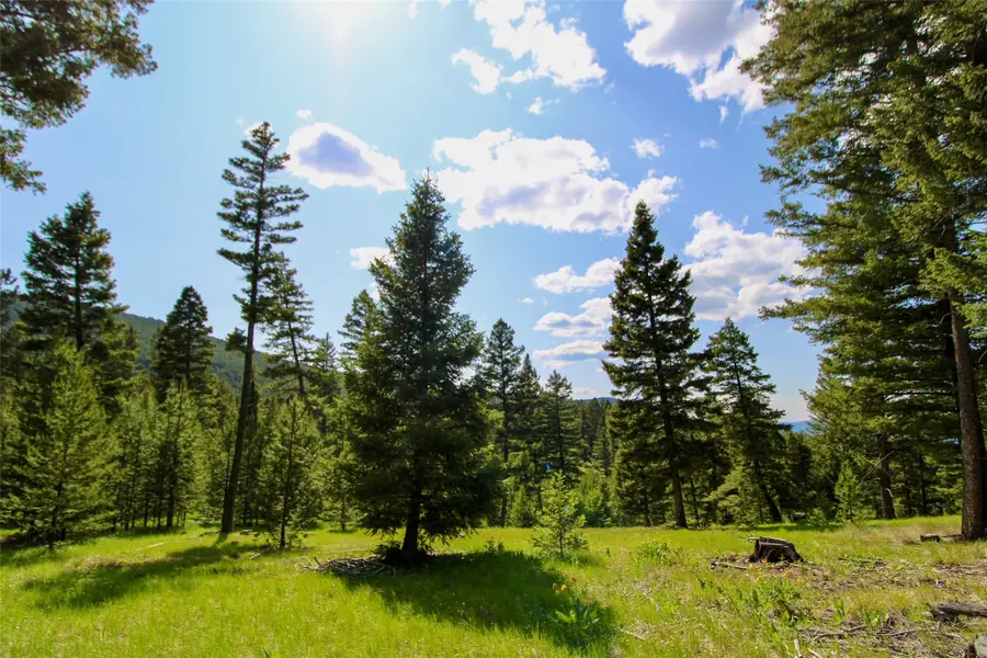 912 Muskrat Road, Helmville, MT 59843 - #3