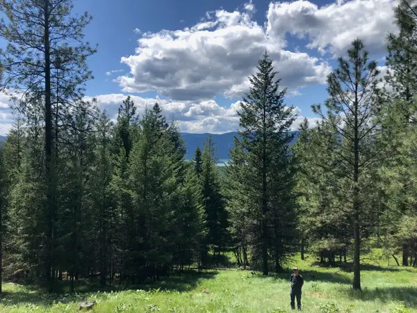 1 Cripple Horse Creek Road, Libby, MT 59923