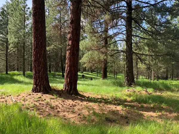 131 Break Road, Libby, MT 59923