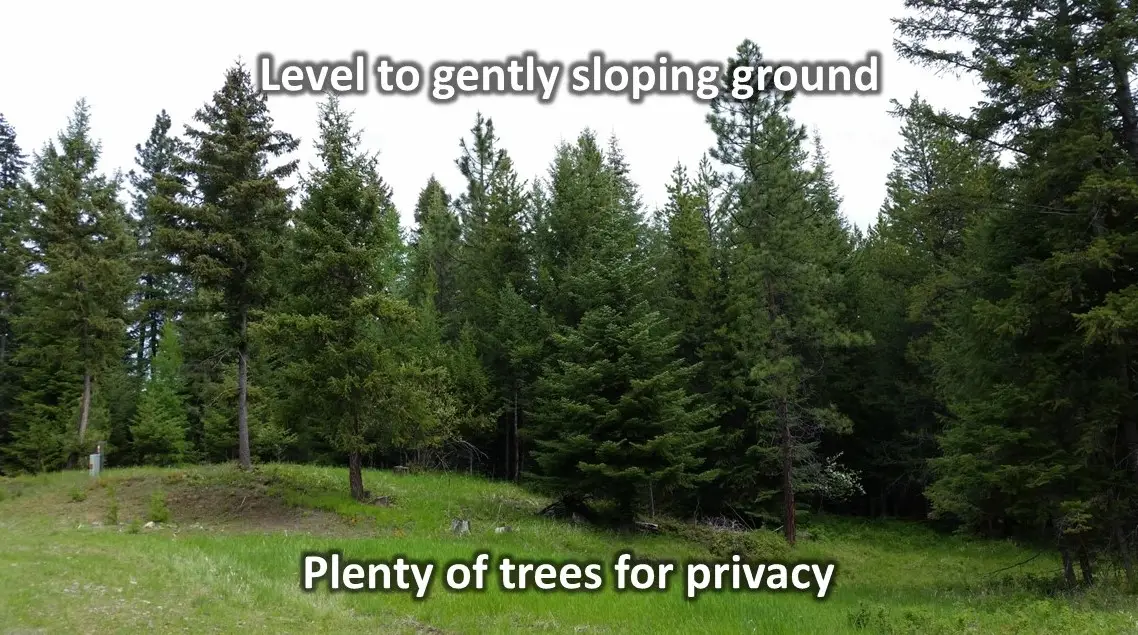 84 Treasure Mountain Lane, Libby, MT 59923 - Image #1