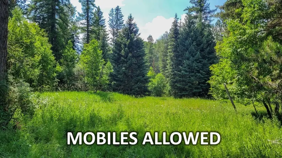 349 Champion Haul Road S, Libby, MT 59923 - Image #3