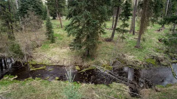 137 Fallen Bear Lane, Libby, MT 59923