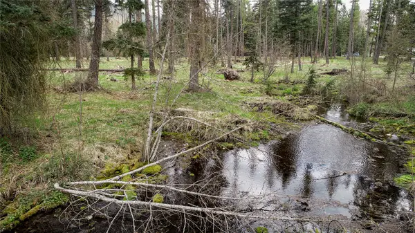 79 Fallen Bear Lane, Libby, MT 59923