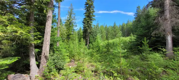 386 Seahawks Drive, Troy, MT 59935