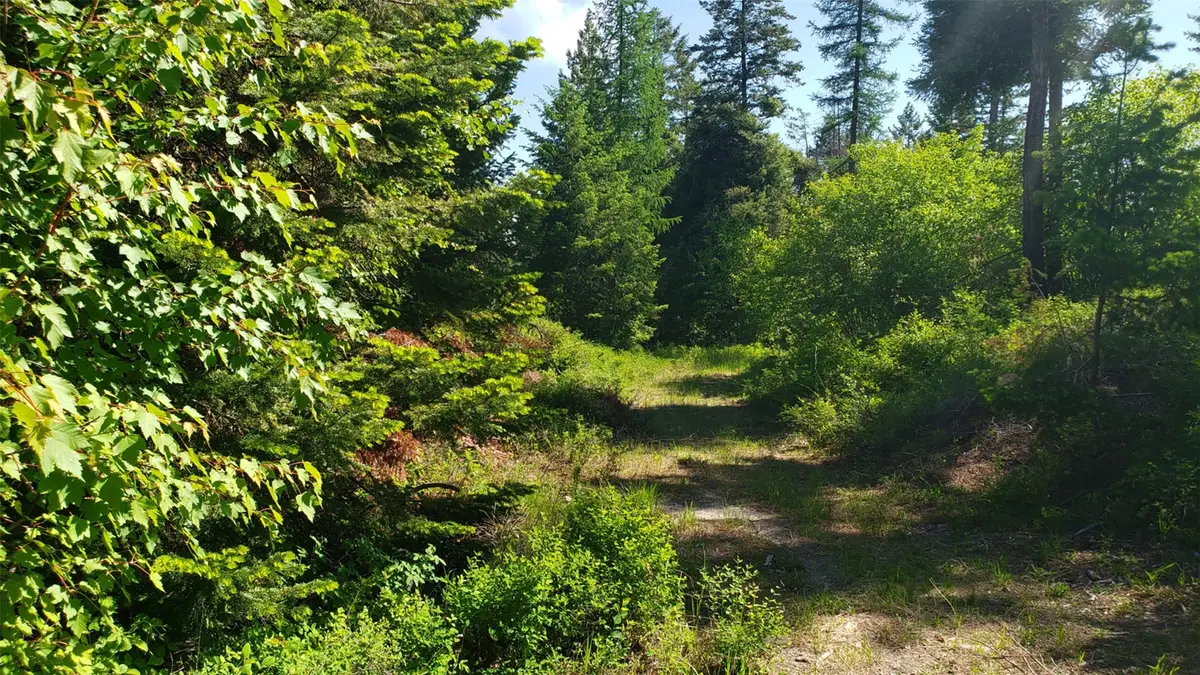 500 Blacktail Heights Road, Lakeside, MT 59922 - Image #1