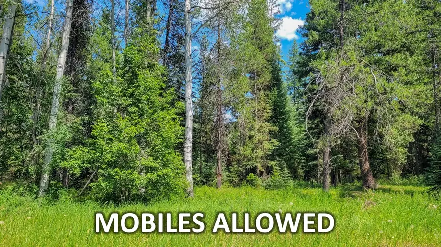 261 Champion Haul Road S, Libby, MT 59923 - Image #2