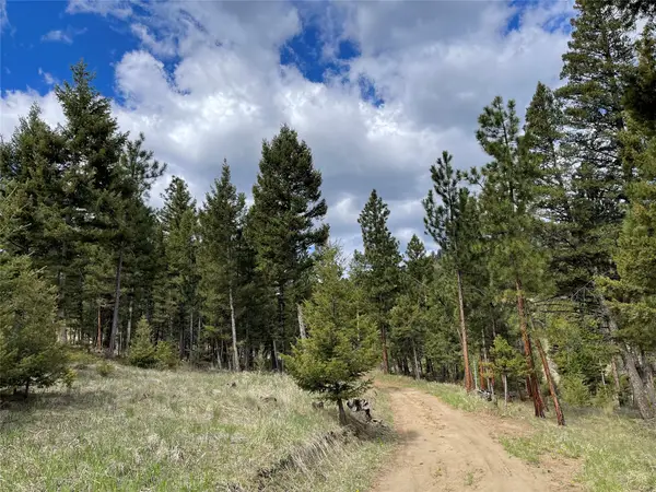 Tract 2B Grizzly Gulch Drive, Helena, MT 59601