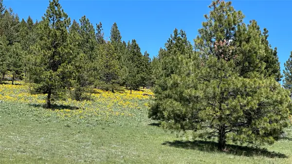 6 Tract, Bull Elk, Drummond, MT 59832