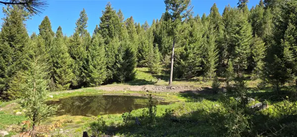 4 Tract, Bull Elk, Drummond, MT 59832
