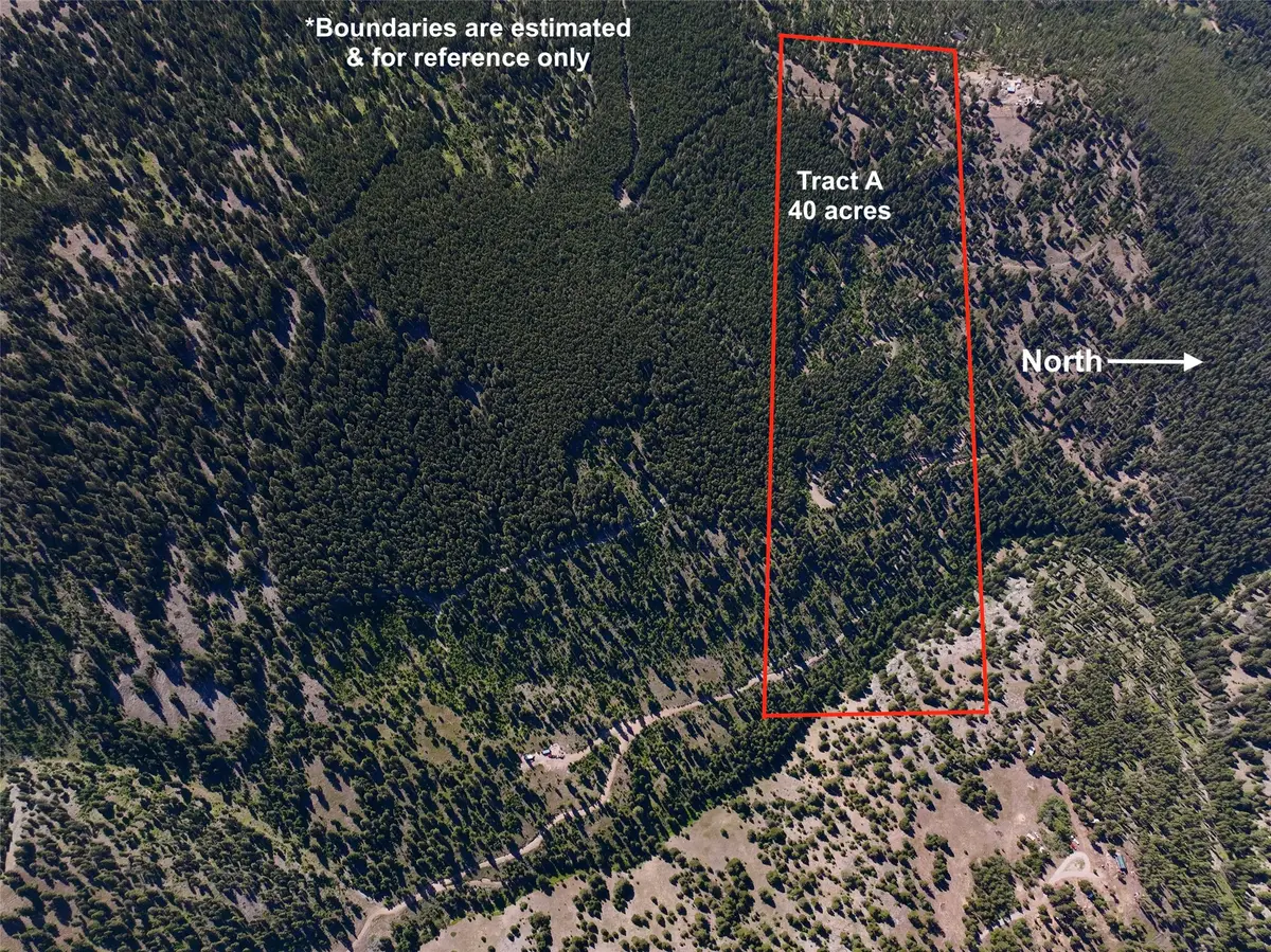 TBD A Chimney Lakes Road, Helmville, MT 59843 - Image #1