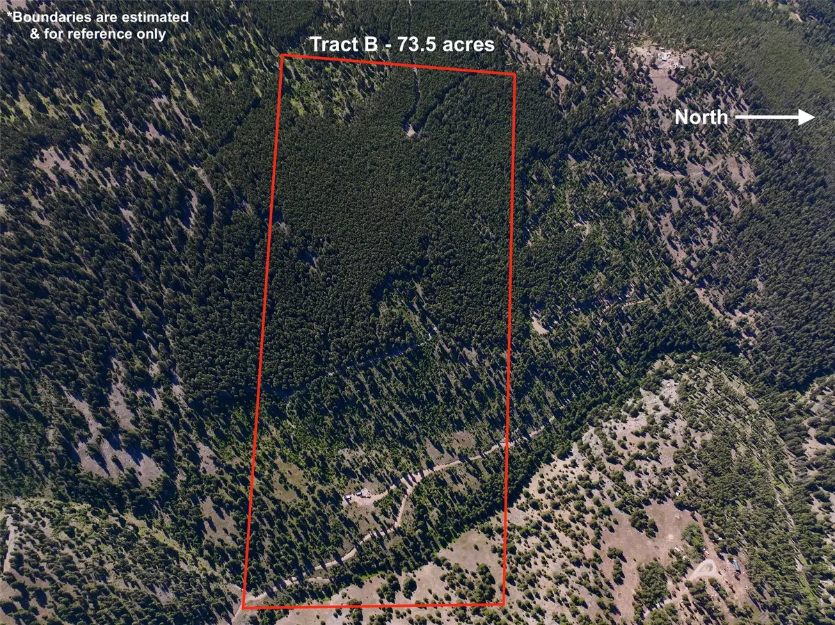 TBD B Chimney Lakes Road, Helmville, MT 59843 - Image #1