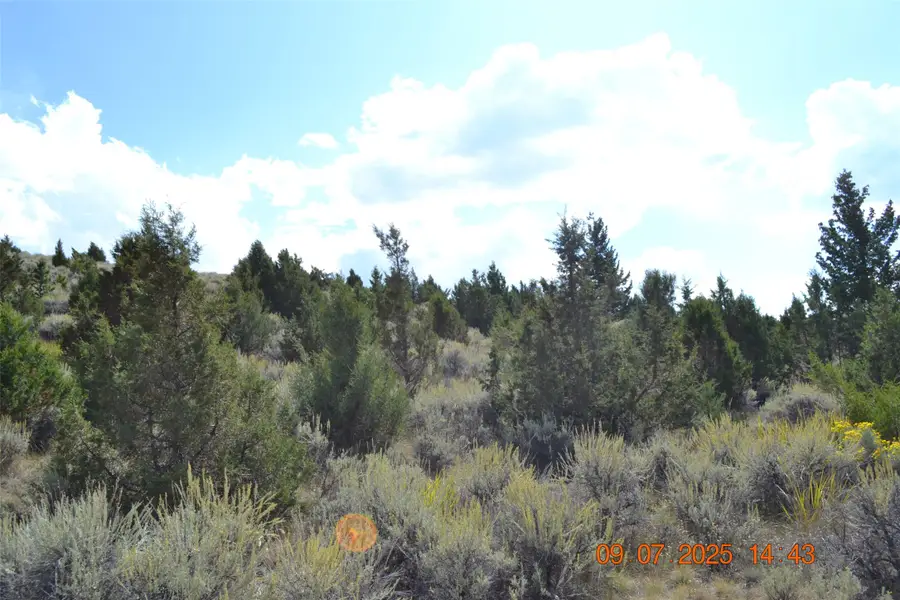 34 Appe Lane, Whitehall, MT 59759 - Image #3