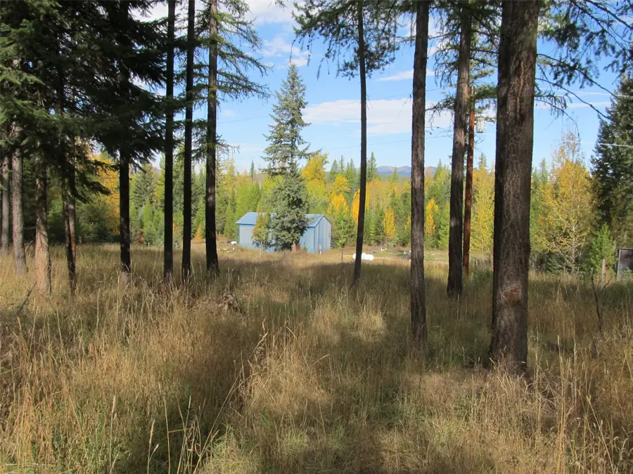 845/855 South Fork Road, Martin City, MT 59926 - Image #2