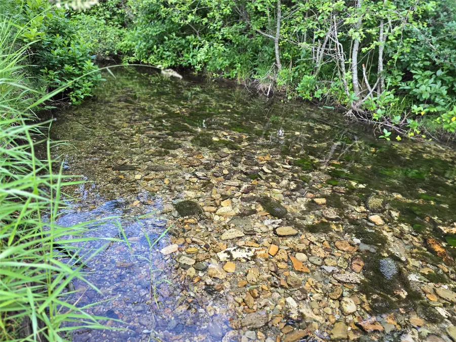 30467 S Fork Yaak Road, Troy, MT 59935 - Image #2