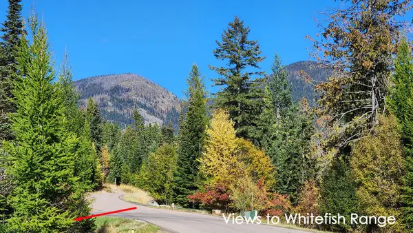 254 S Beargrass Circle, Whitefish, MT 59937