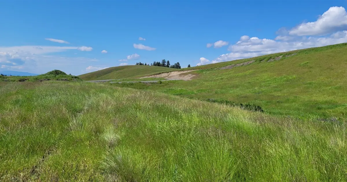 164 Grassy Loop, Eureka, MT 59917 - Image #1