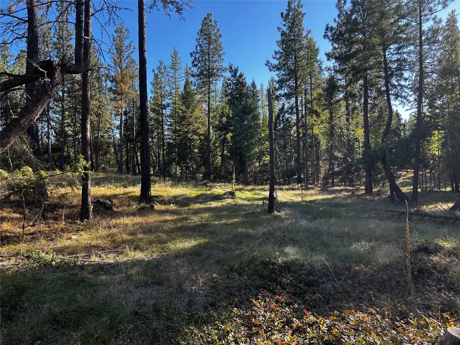 150 Coffee Drive, Eureka, MT 59917 - Image #3