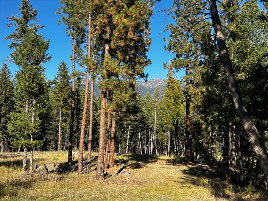 51 Coffee Drive, Eureka, MT 59917 - Image #2