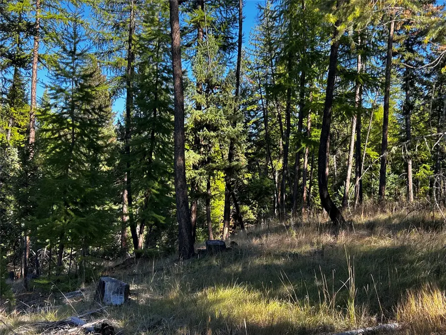 51 Coffee Drive, Eureka, MT 59917 - Image #3