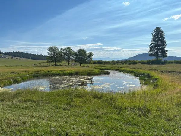 691 Morning View Drive, Kalispell, MT 59901