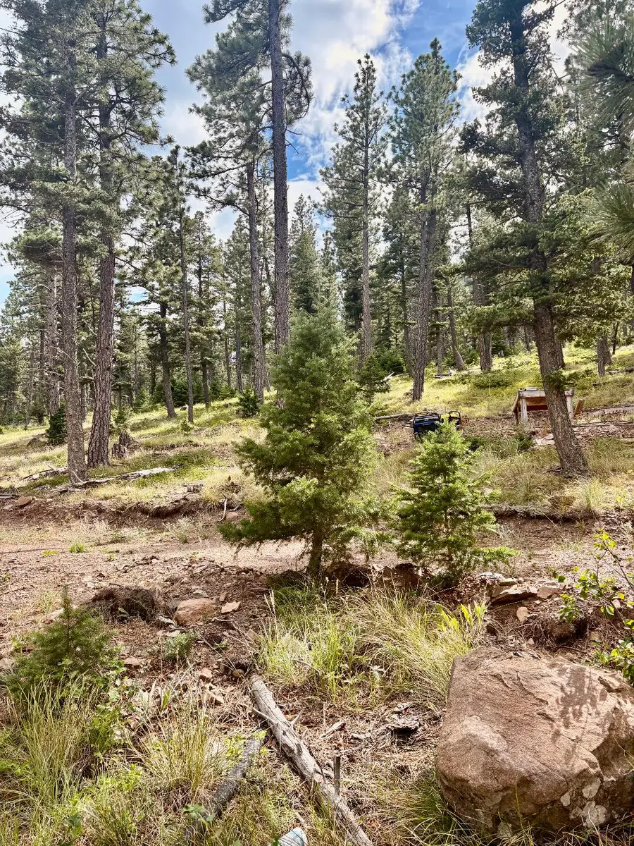 4535 Little Wolf Creek Road, Wolf Creek, MT 59648 - #3