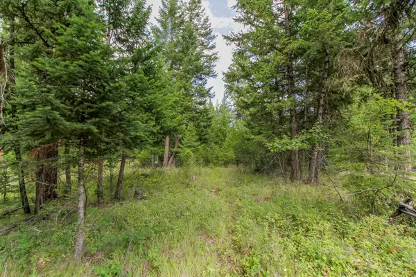 301 Haskill Ranch Road, Kila, MT 59920
