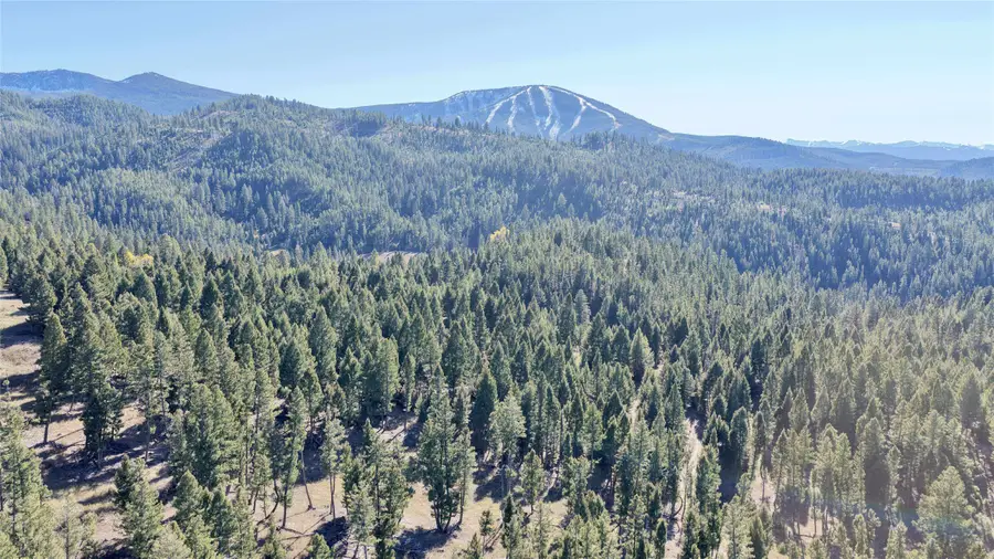 Lot 5 Scranton Lode, Philipsburg, MT 59858 - Image #3