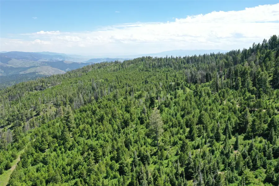 7 Tract, Garnet Range, Drummond, MT 59832 - #3