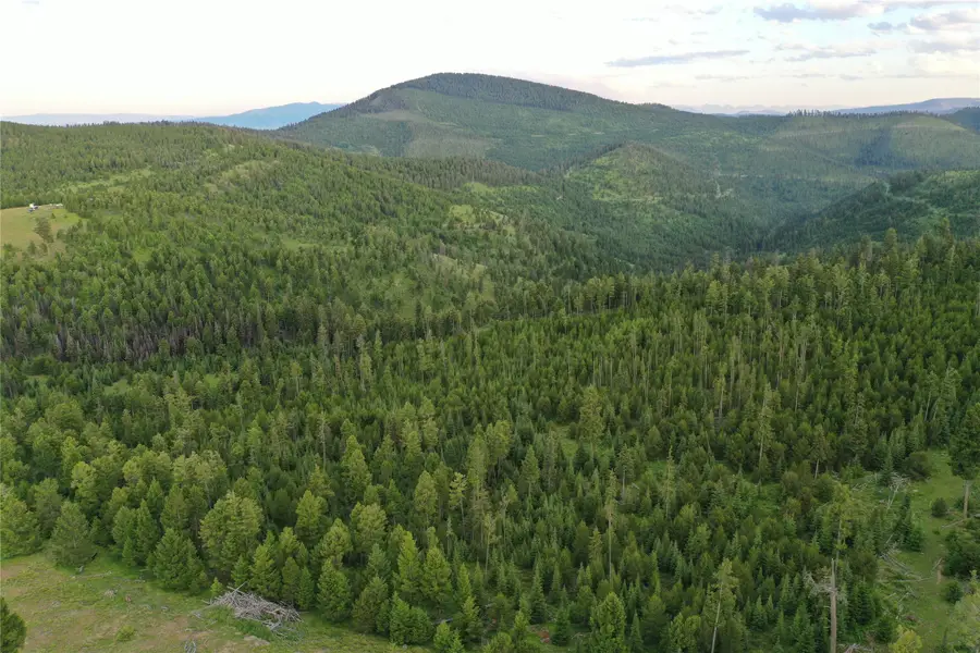11 Tract, Garnet Range, Drummond, MT 59832 - #3