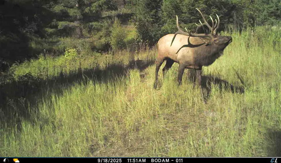 Lot 1 Ruby Mine Road, Butte, MT 59701 - Image #3