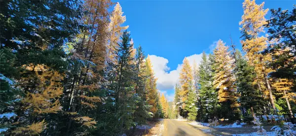 Lot 8 Tamarack Lane, Rexford, MT 59930