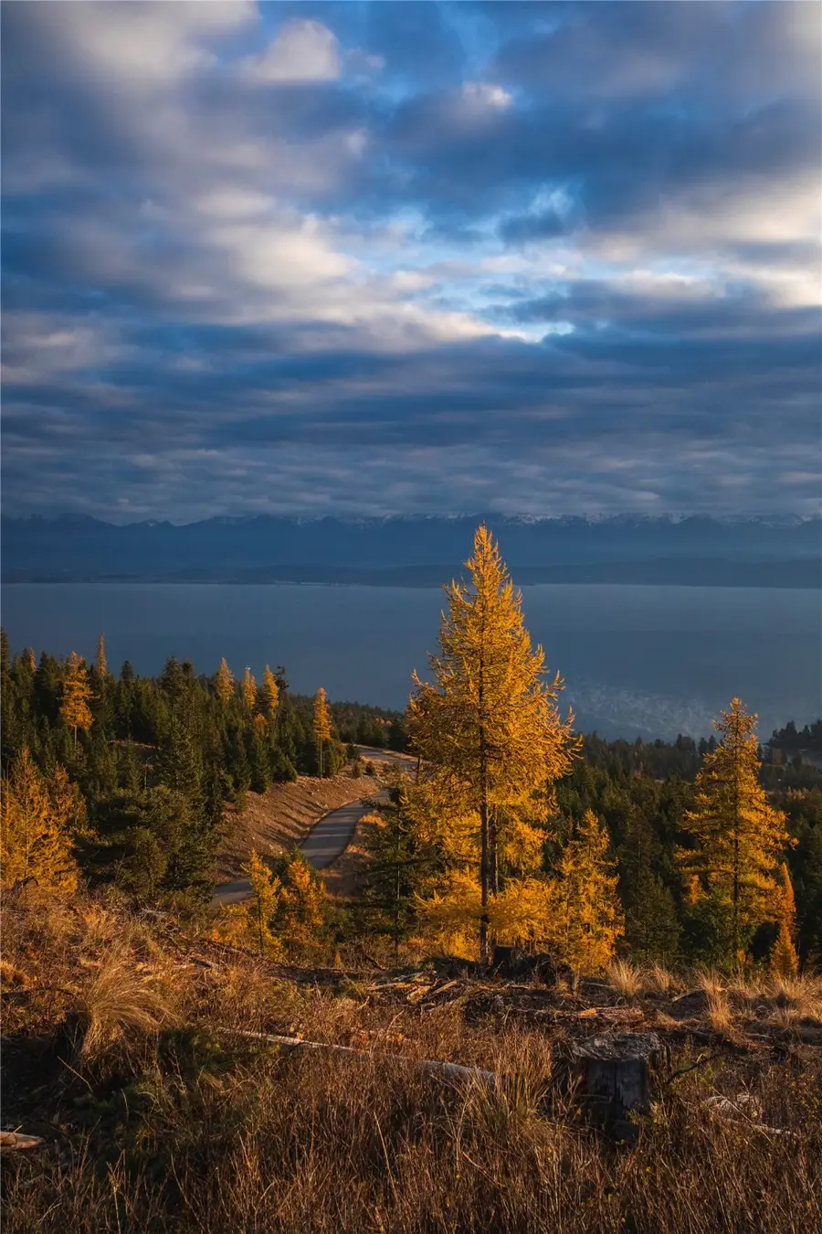 351 Ridge Line Drive, Lakeside, MT 59922 - Image #3