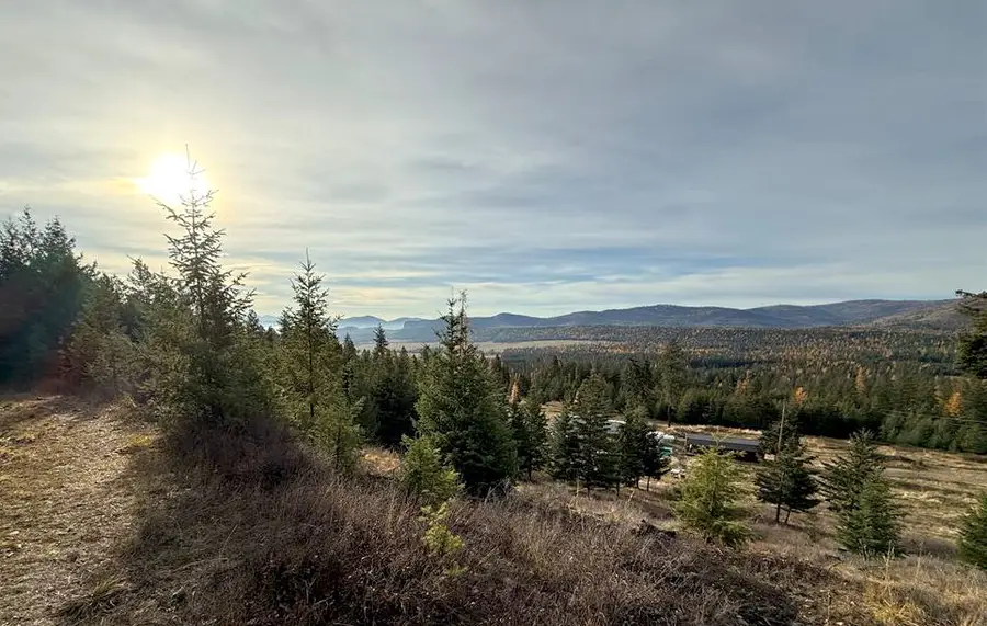 19649 Golden Pine Lane, Proctor, MT 59929 - Image #3