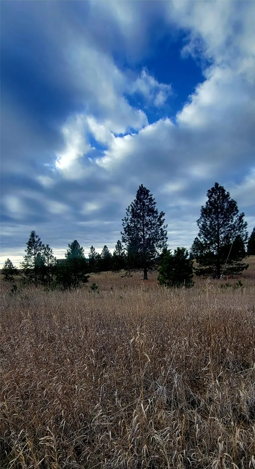 Lot 38 Southlake Crest, Polson, MT 59860 - Image #2