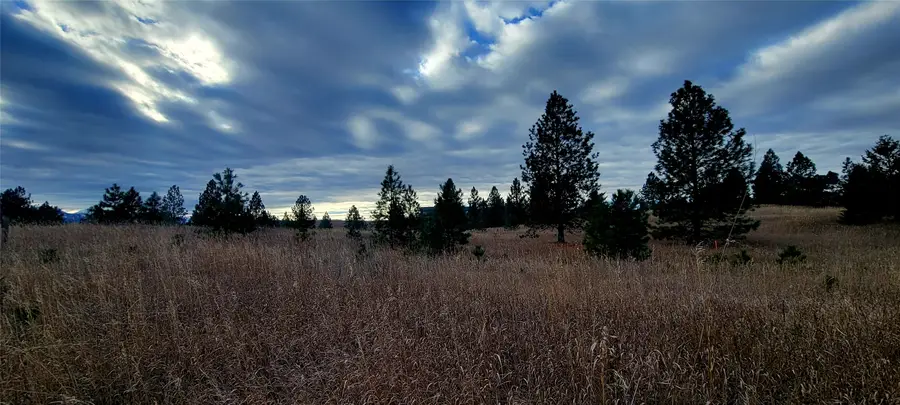 Lot 38 Southlake Crest, Polson, MT 59860 - Image #3