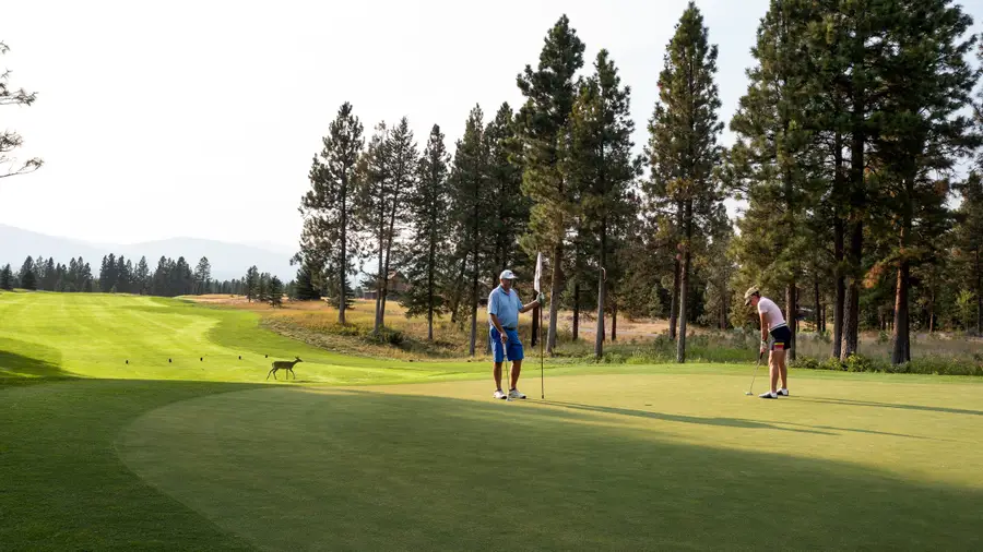 0 Boulder Lane, Eureka, MT 59917 - Image #2