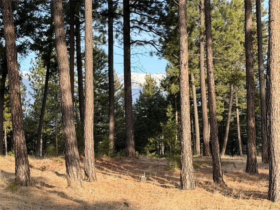 NHN Hillandale Trail, Eureka, MT 59917 - Image #3