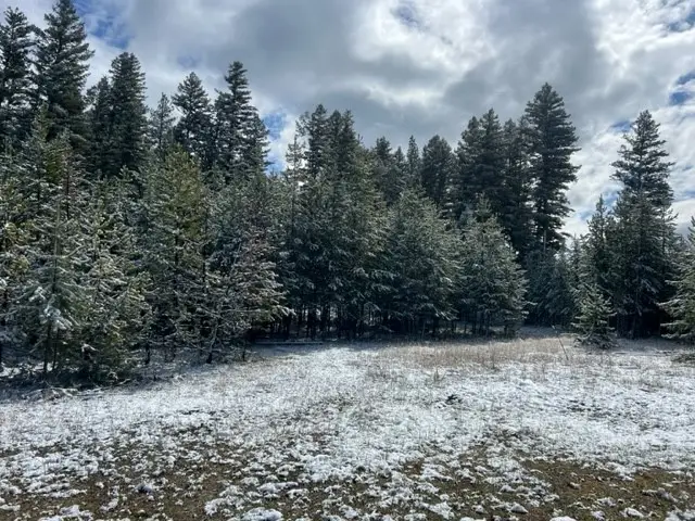 740 Tamarack Drive, Seeley Lake, MT 59868 - Image #2