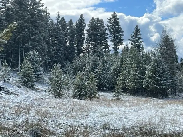 740 Tamarack Drive, Seeley Lake, MT 59868 - Image #3