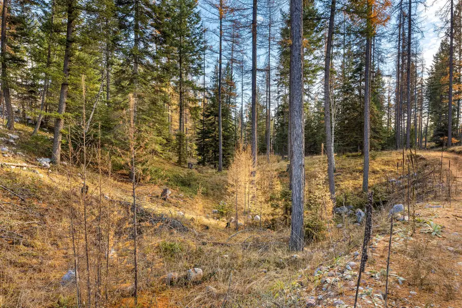 76 Meadow Mint Way, Kalispell, MT 59901 - Image #3